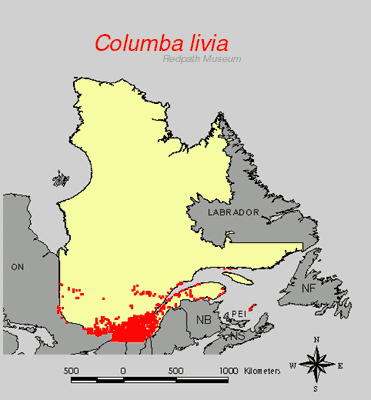 distribution map.jpg