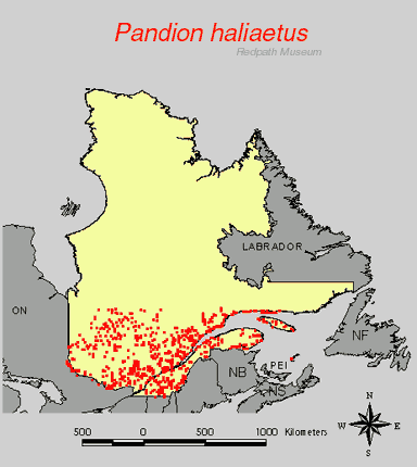 distribution map.jpg