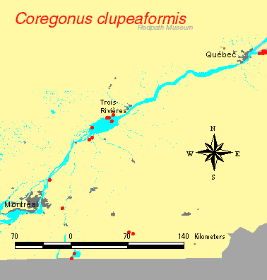 distribution map.gif