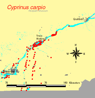distribution map.gif