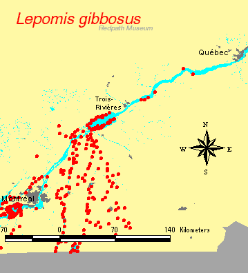 distribution map.gif