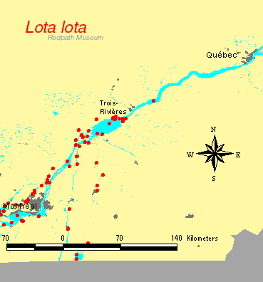 distribution map.gif