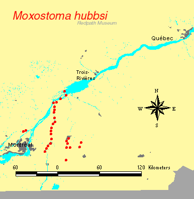 distribution map.gif
