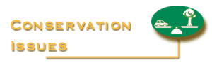 back to Conservation page